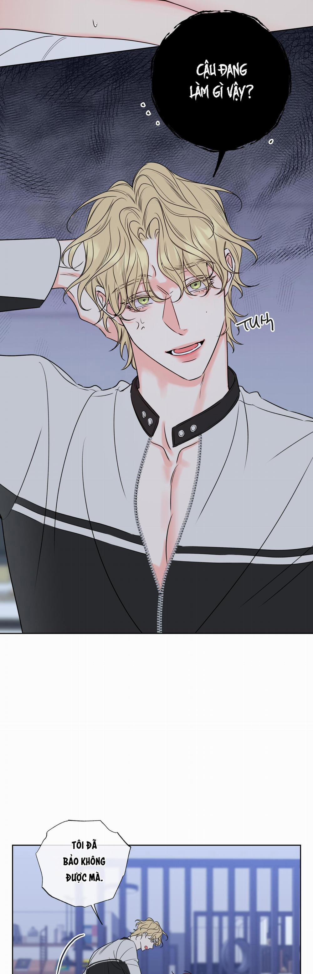 Honey Trouble 8 trang 1