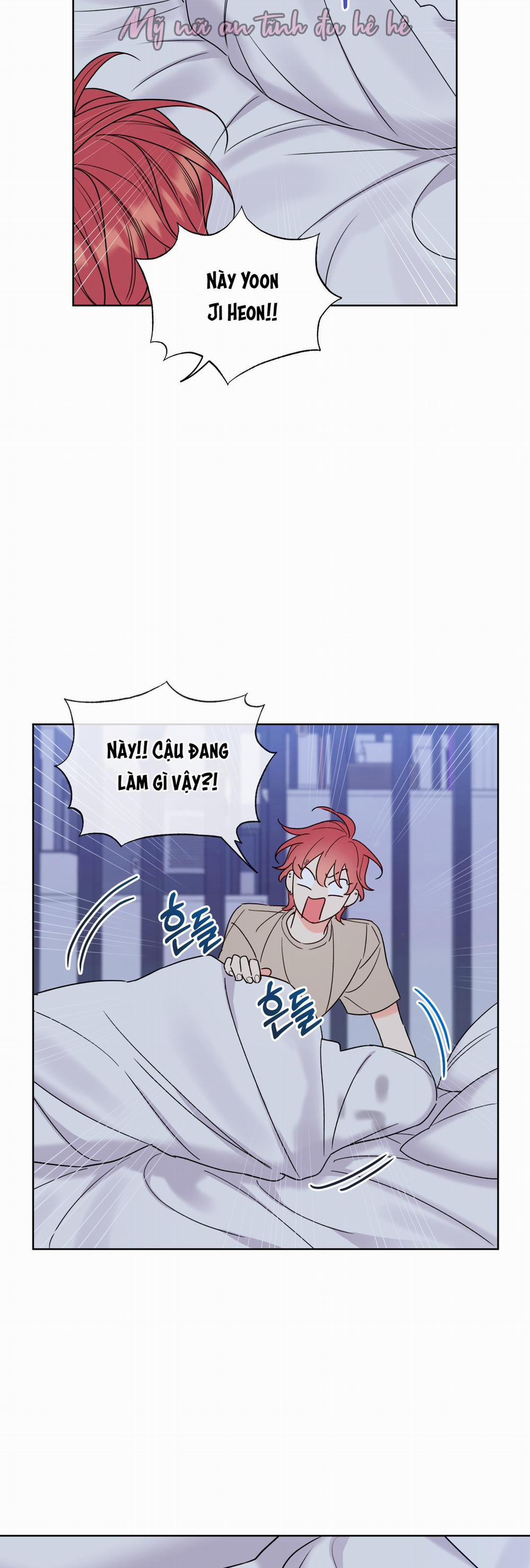 Honey Trouble 8 trang 21