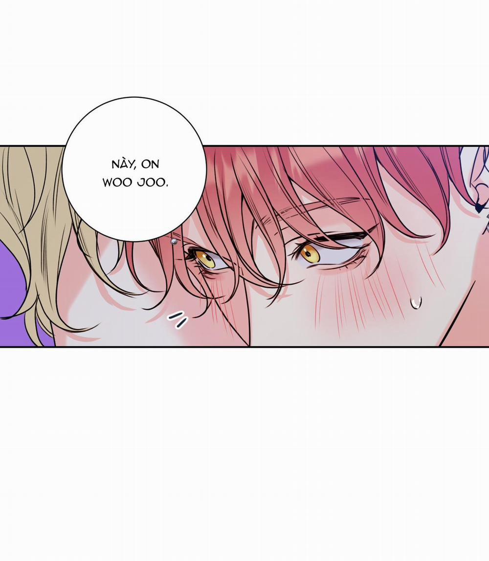 Honey Trouble 9 trang 2