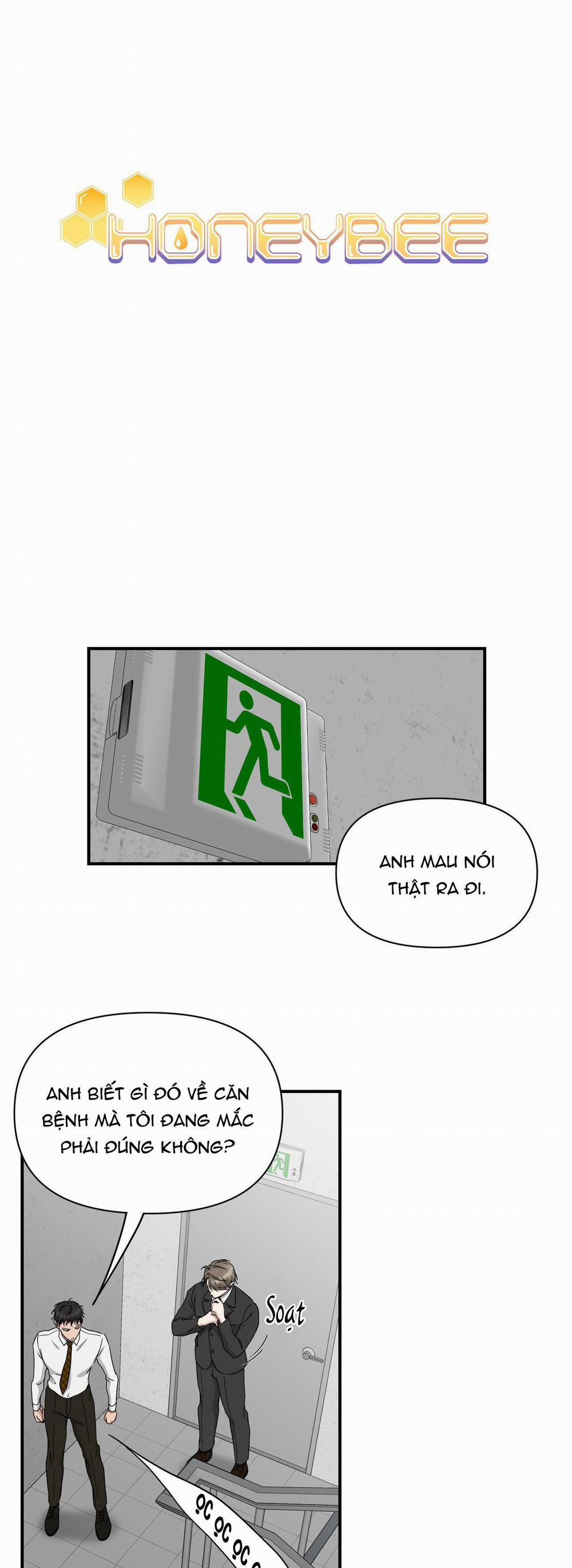 HONEYBEE 7 trang 4