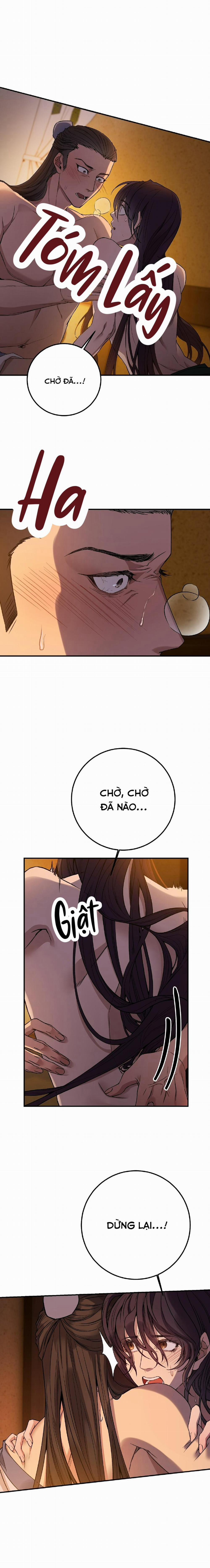 Hồng Ngọc Giữa Nền Tuyết Trắng 3 trang 11