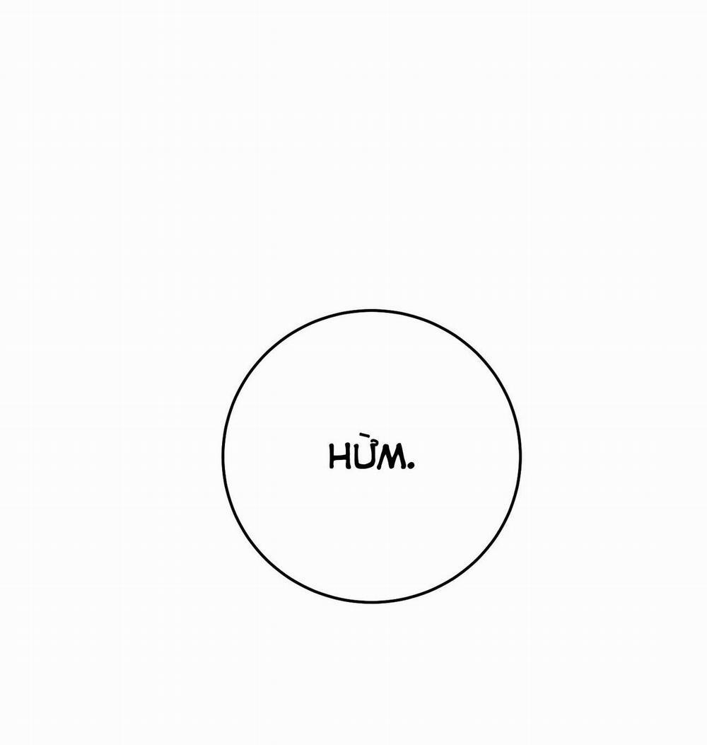 Hồng Ngọc Giữa Nền Tuyết Trắng 9 trang 25