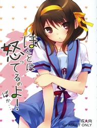 Đọc truyện tranh Honto wa Okotteru no yo! Baka... (Suzumiya Haruhi no Yuuutsu)