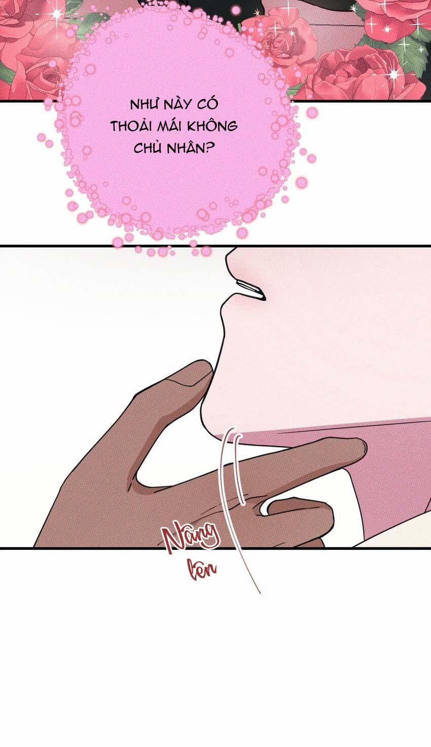 Hộp Bánh Quy Định Mệnh (END) 15 trang 27