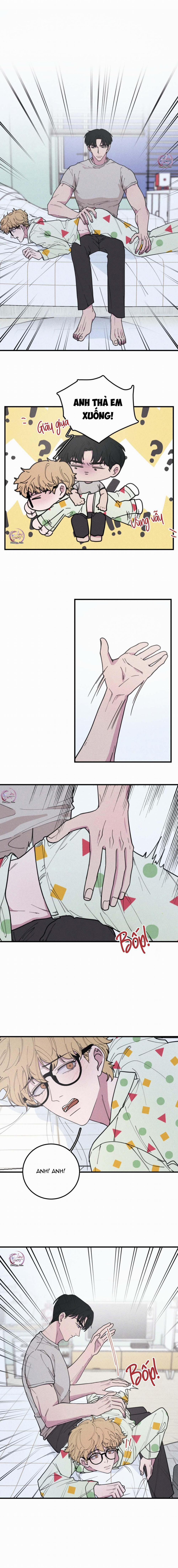 Hộp Bánh Quy Định Mệnh (END) 20.1 0 Tét Đuýt 0 trang 3