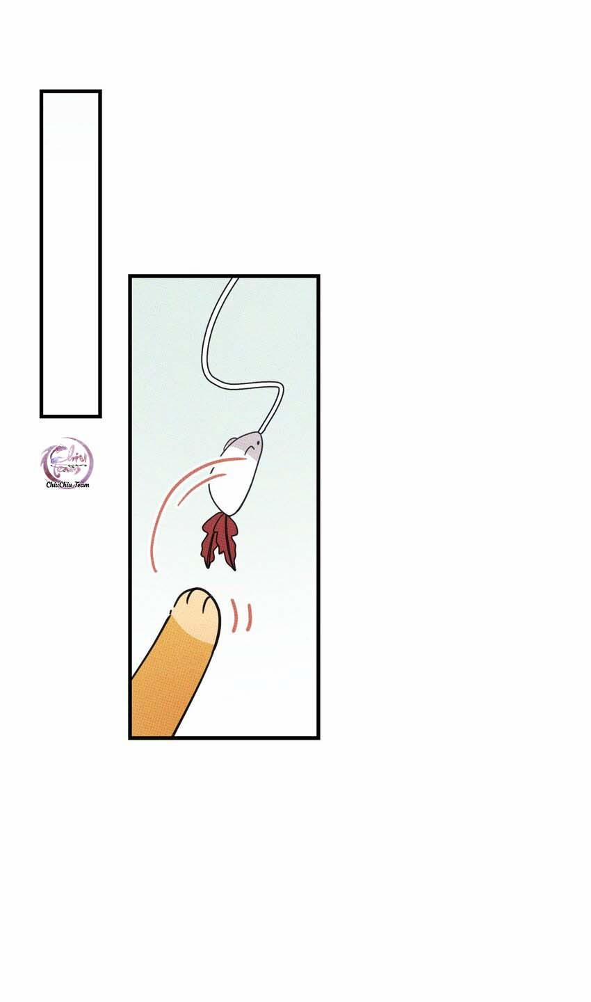 Hộp Bánh Quy Định Mệnh (END) 20 trang 41