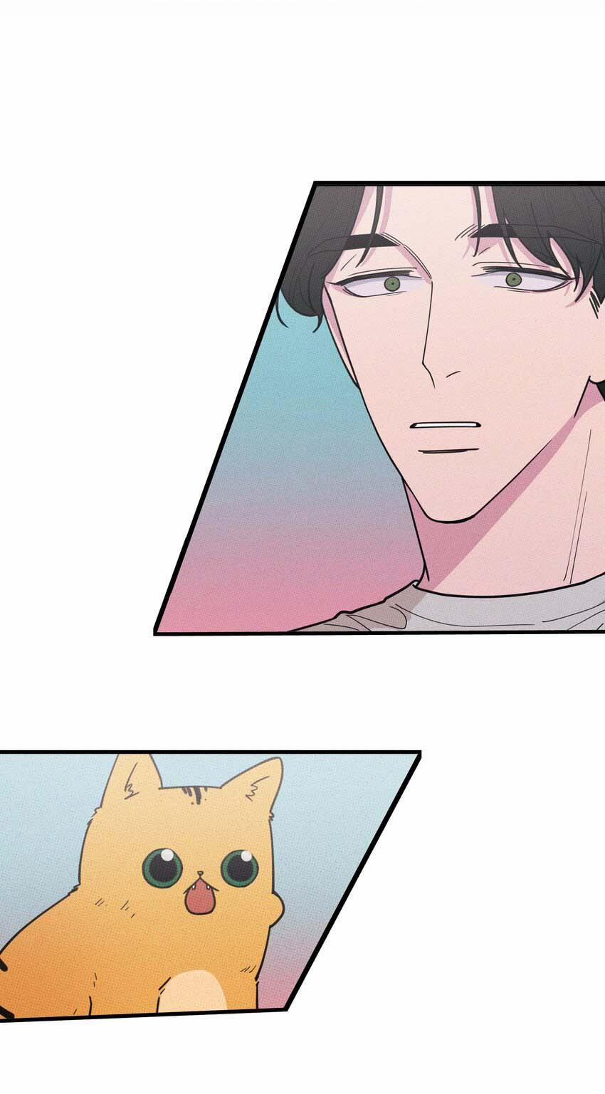 Hộp Bánh Quy Định Mệnh (END) 21 trang 5