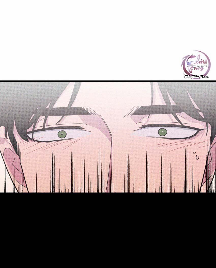 Hộp Bánh Quy Định Mệnh (END) 21 trang 8