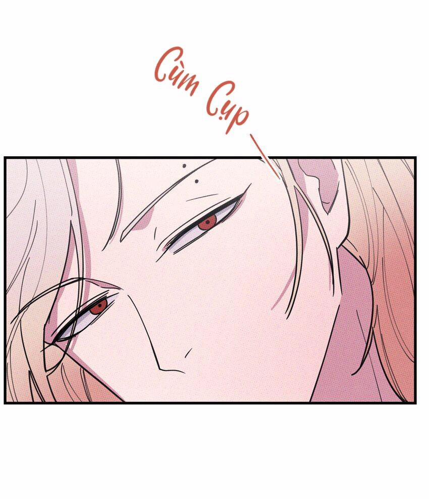 Hộp Bánh Quy Định Mệnh (END) 27 trang 5