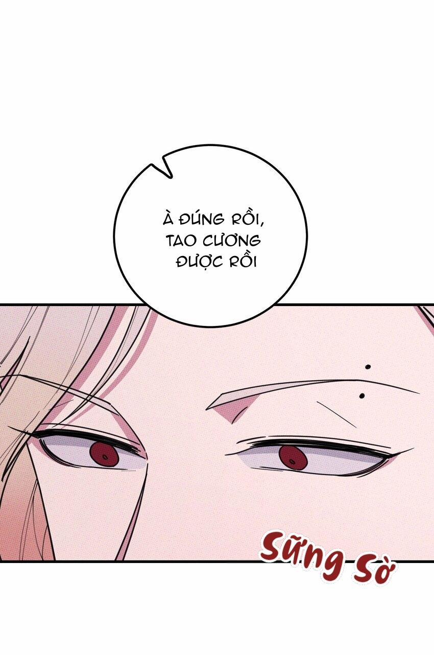 Hộp Bánh Quy Định Mệnh (END) 28 trang 24