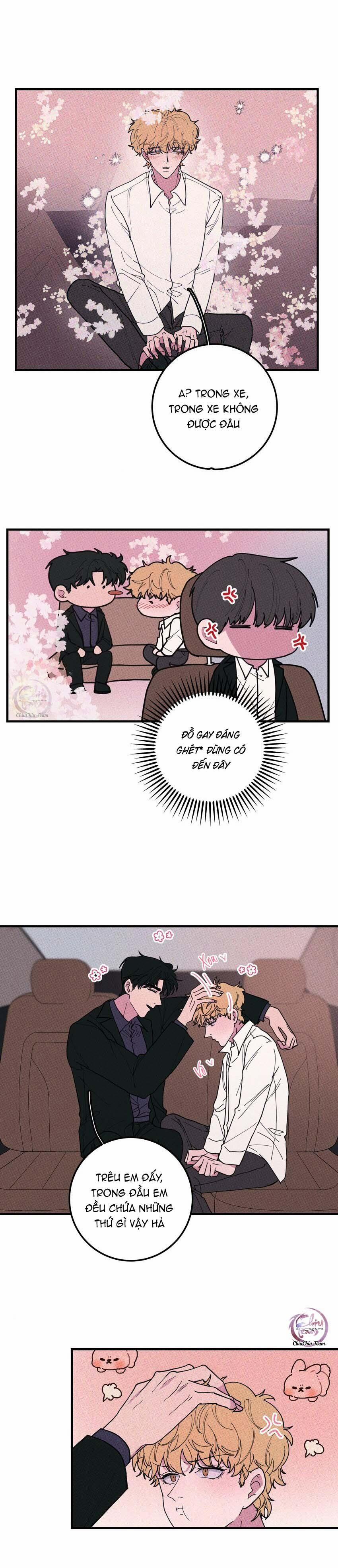 Hộp Bánh Quy Định Mệnh (END) 40 trang 3