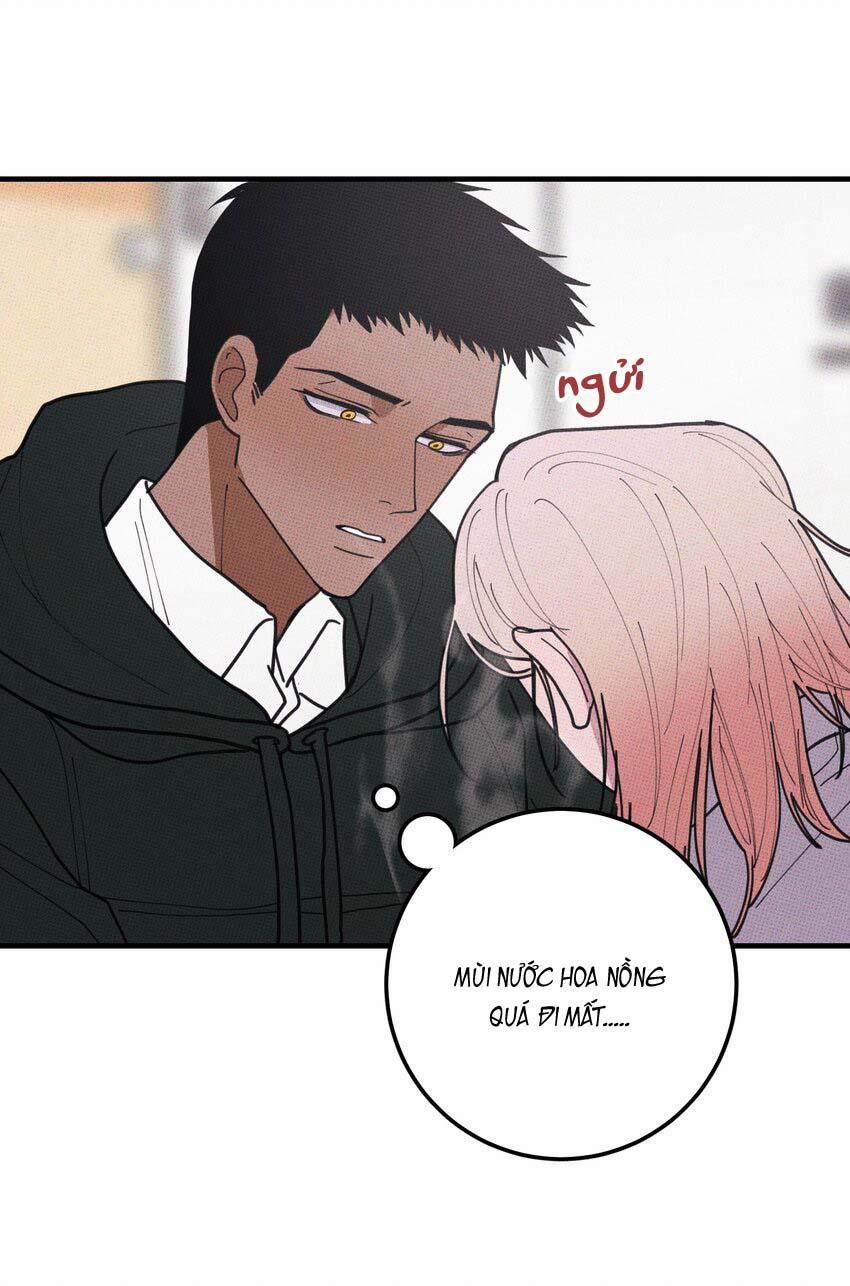 Hộp Bánh Quy Định Mệnh (END) 48 trang 9