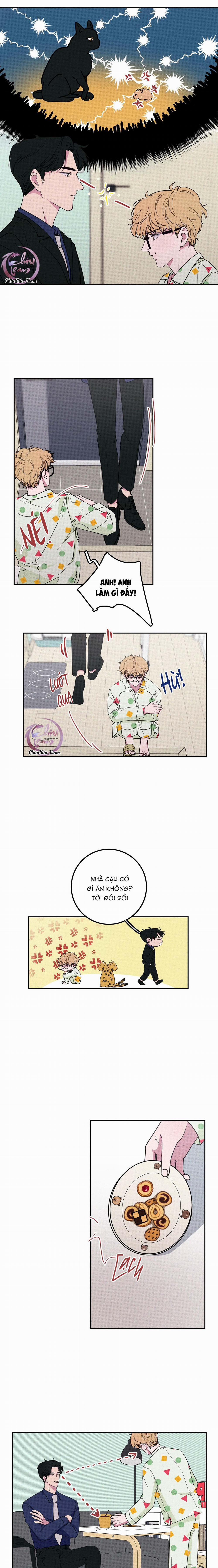 Hộp Bánh Quy Định Mệnh (END) 5 trang 5