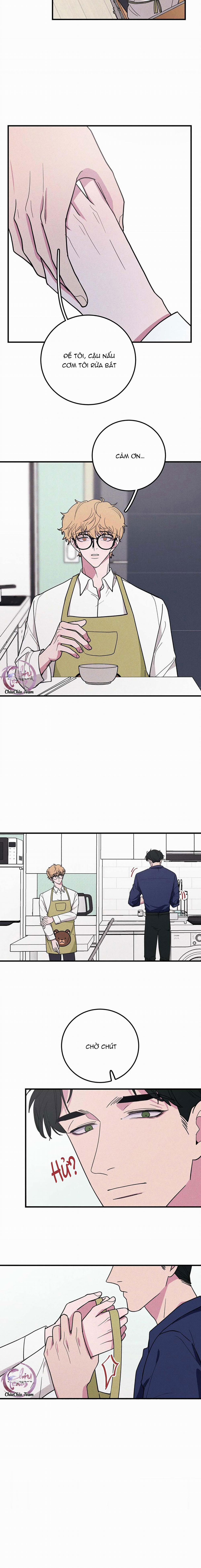 Hộp Bánh Quy Định Mệnh (END) 8 trang 4