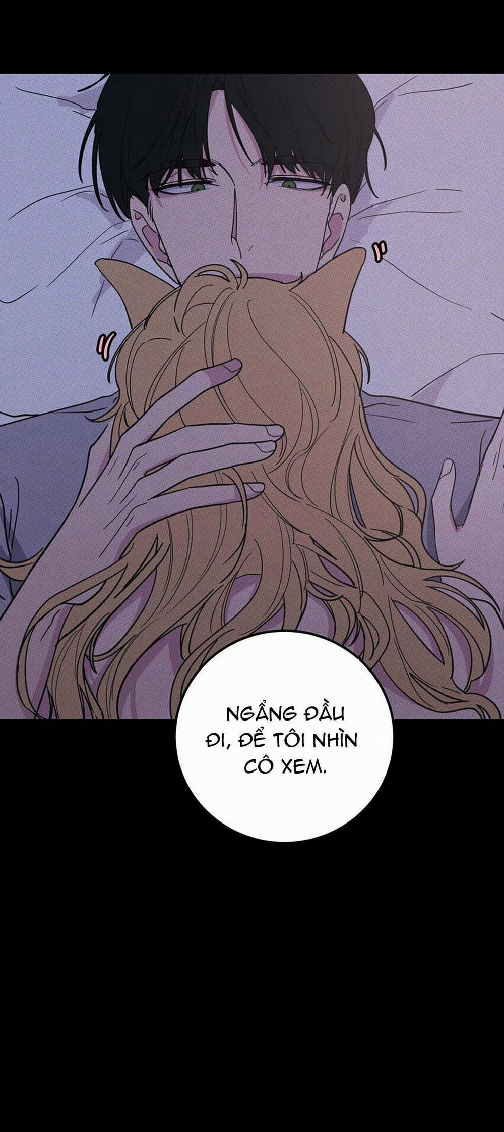 Hộp Bánh Quy Định Mệnh 10 trang 17