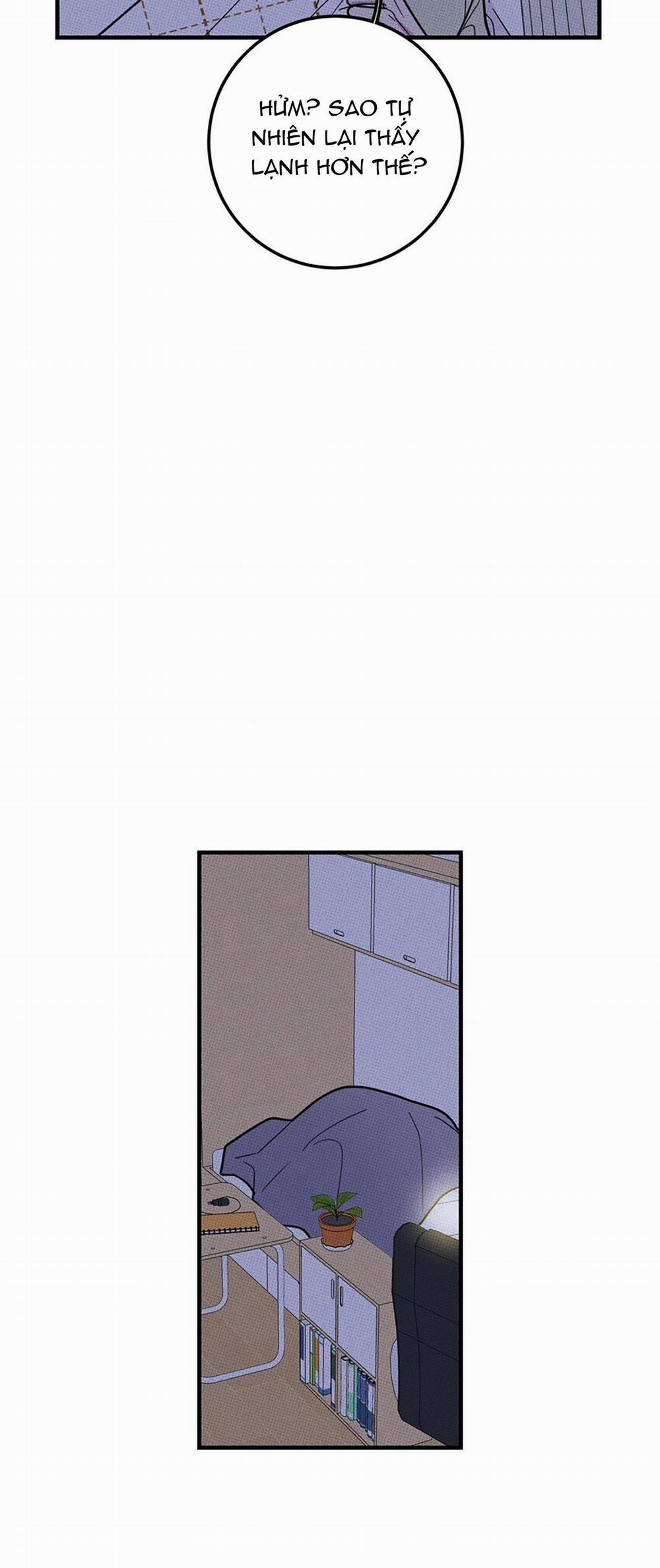 Hộp Bánh Quy Định Mệnh 10 trang 24