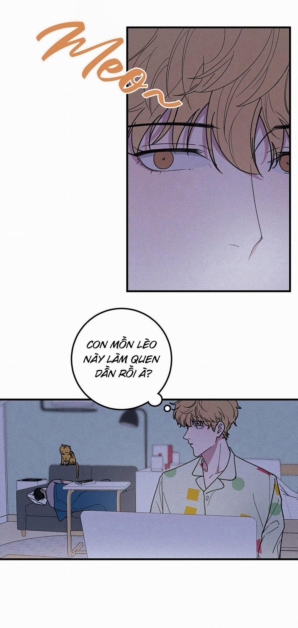 Hộp Bánh Quy Định Mệnh 10 trang 3