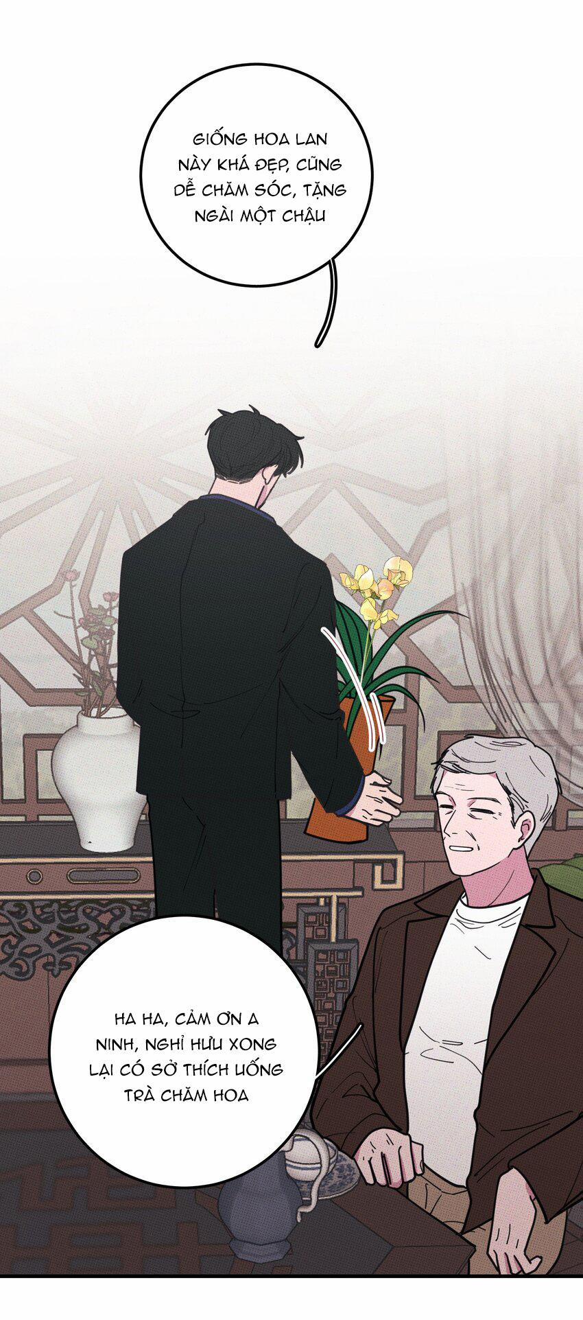 Hộp Bánh Quy Định Mệnh 30 trang 7