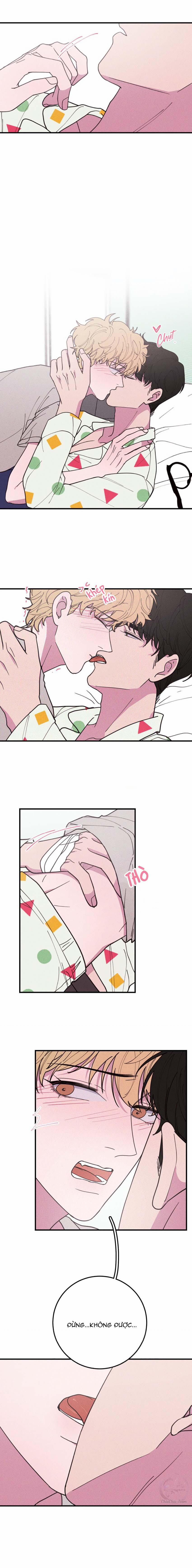 Hộp Bánh Quy Định Mệnh 33 trang 4