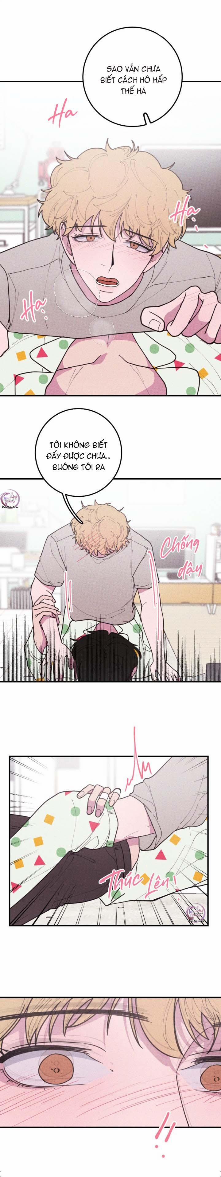 Hộp Bánh Quy Định Mệnh 33 trang 6