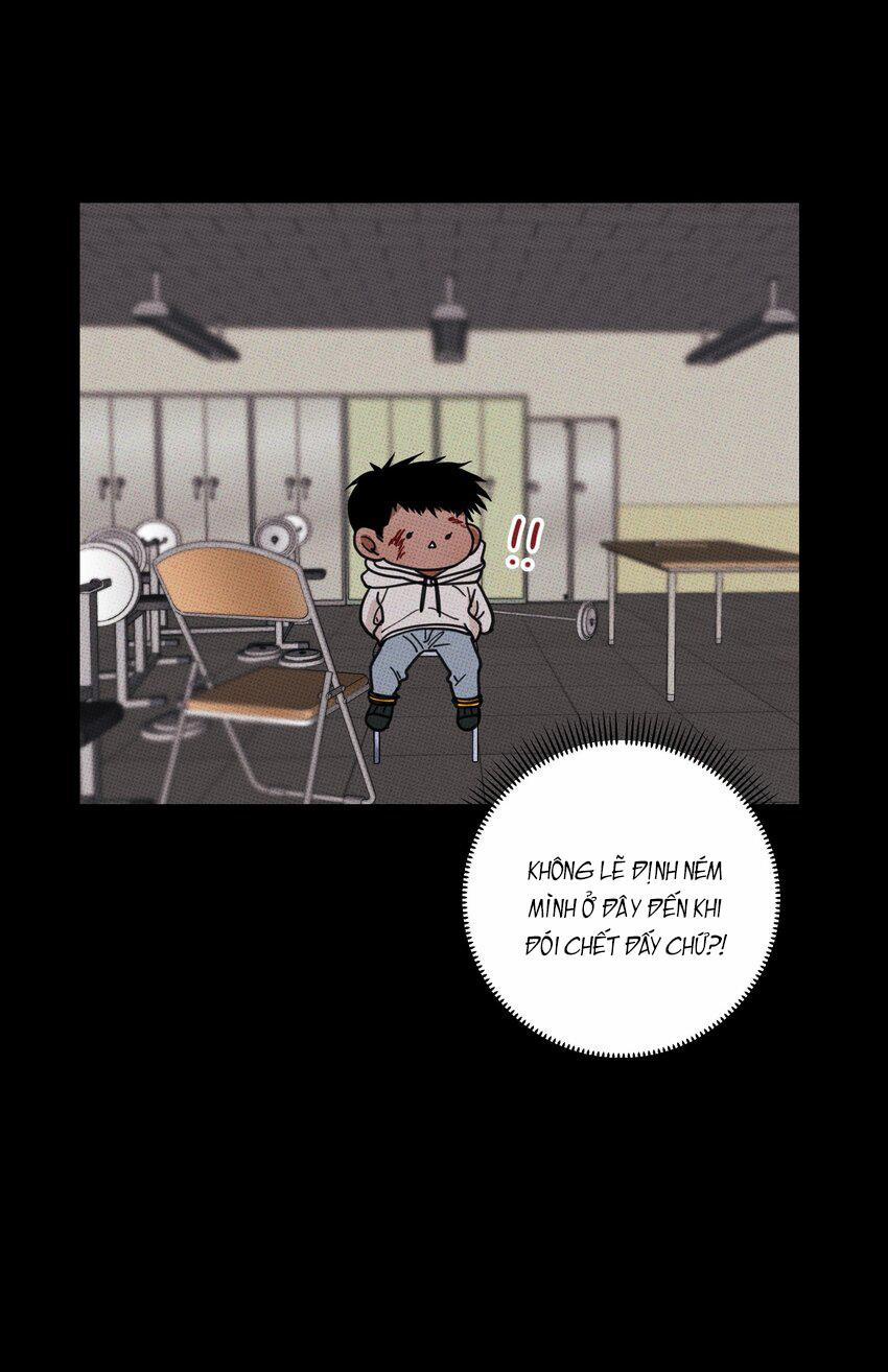 Hộp Bánh Quy Định Mệnh 35 trang 37