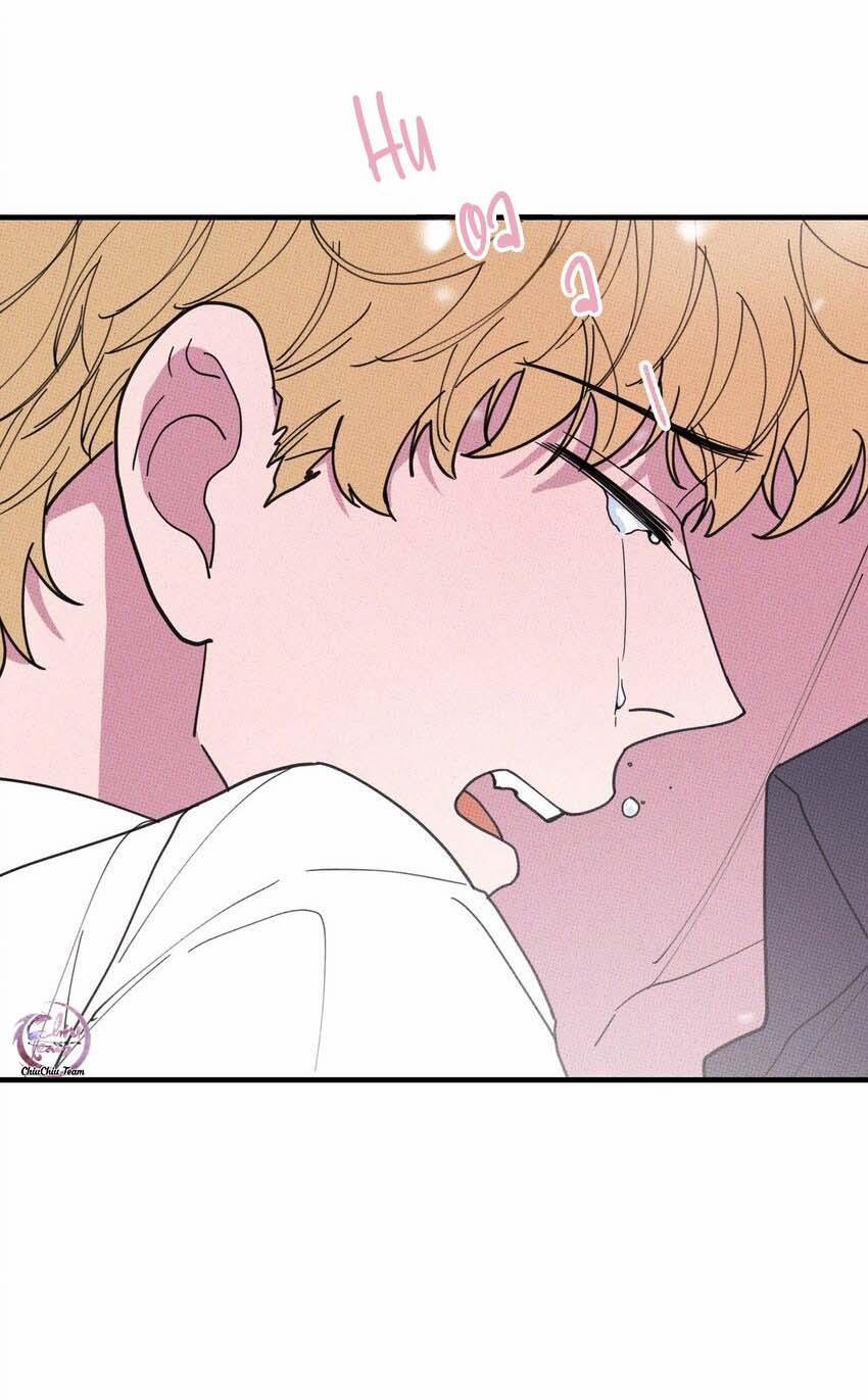 Hộp Bánh Quy Định Mệnh 37 trang 6