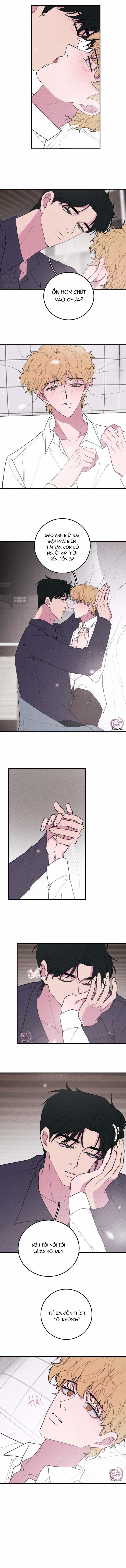 Hộp Bánh Quy Định Mệnh 37 trang 8