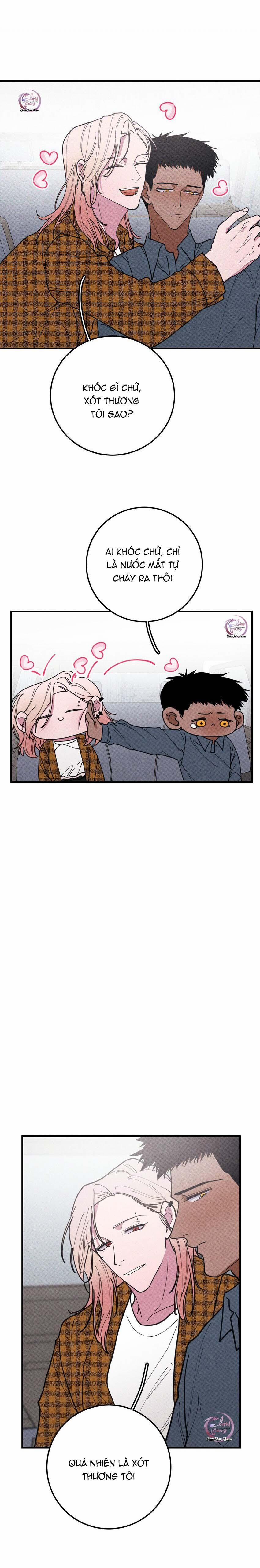 Hộp Bánh Quy Định Mệnh 38 trang 12