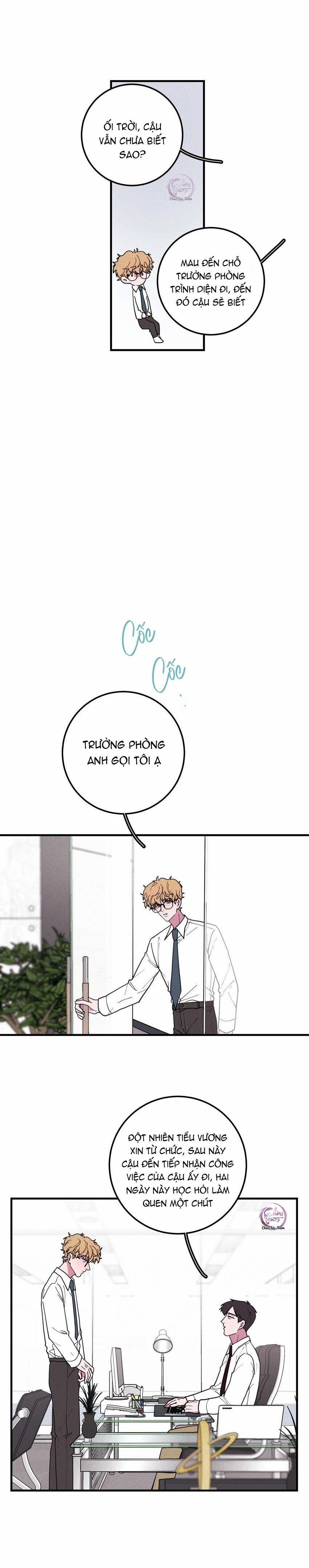 Hộp Bánh Quy Định Mệnh 40 trang 11