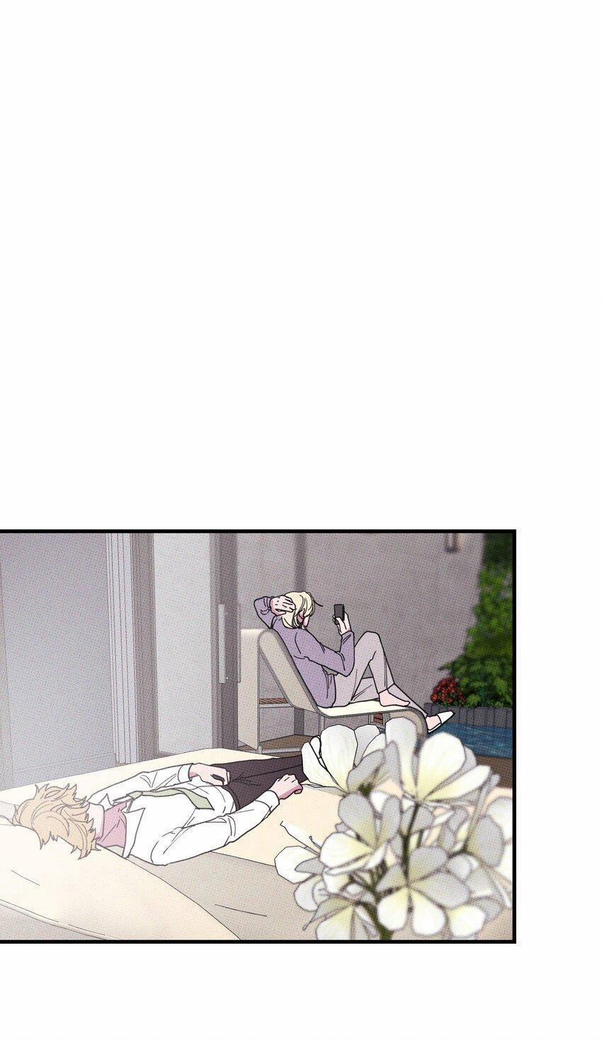 Hộp Bánh Quy Định Mệnh 46 trang 13