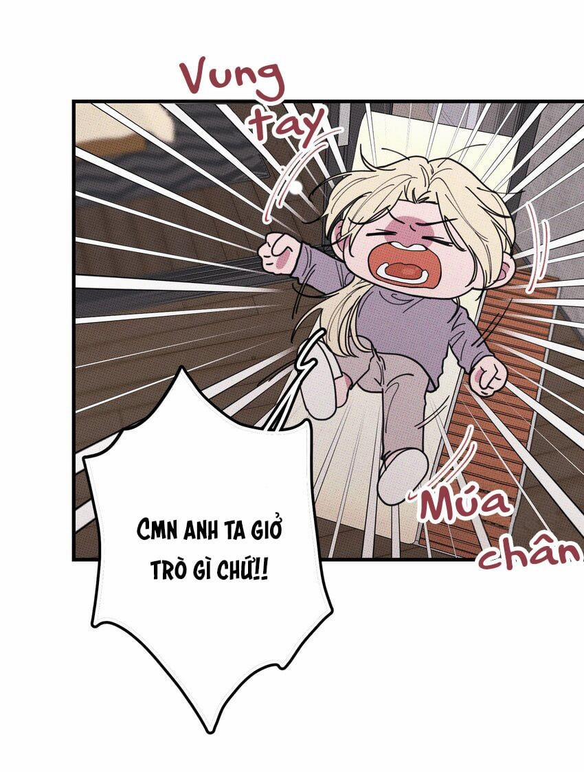 Hộp Bánh Quy Định Mệnh 46 trang 26