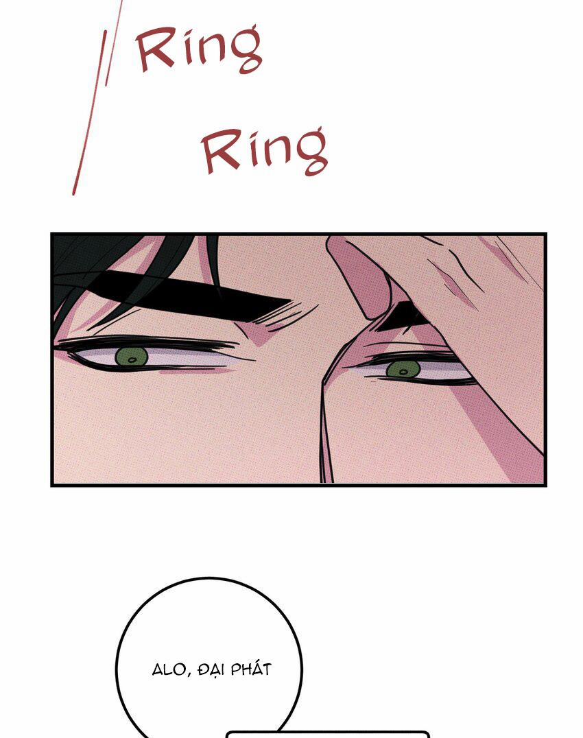 Hộp Bánh Quy Định Mệnh 46 trang 3