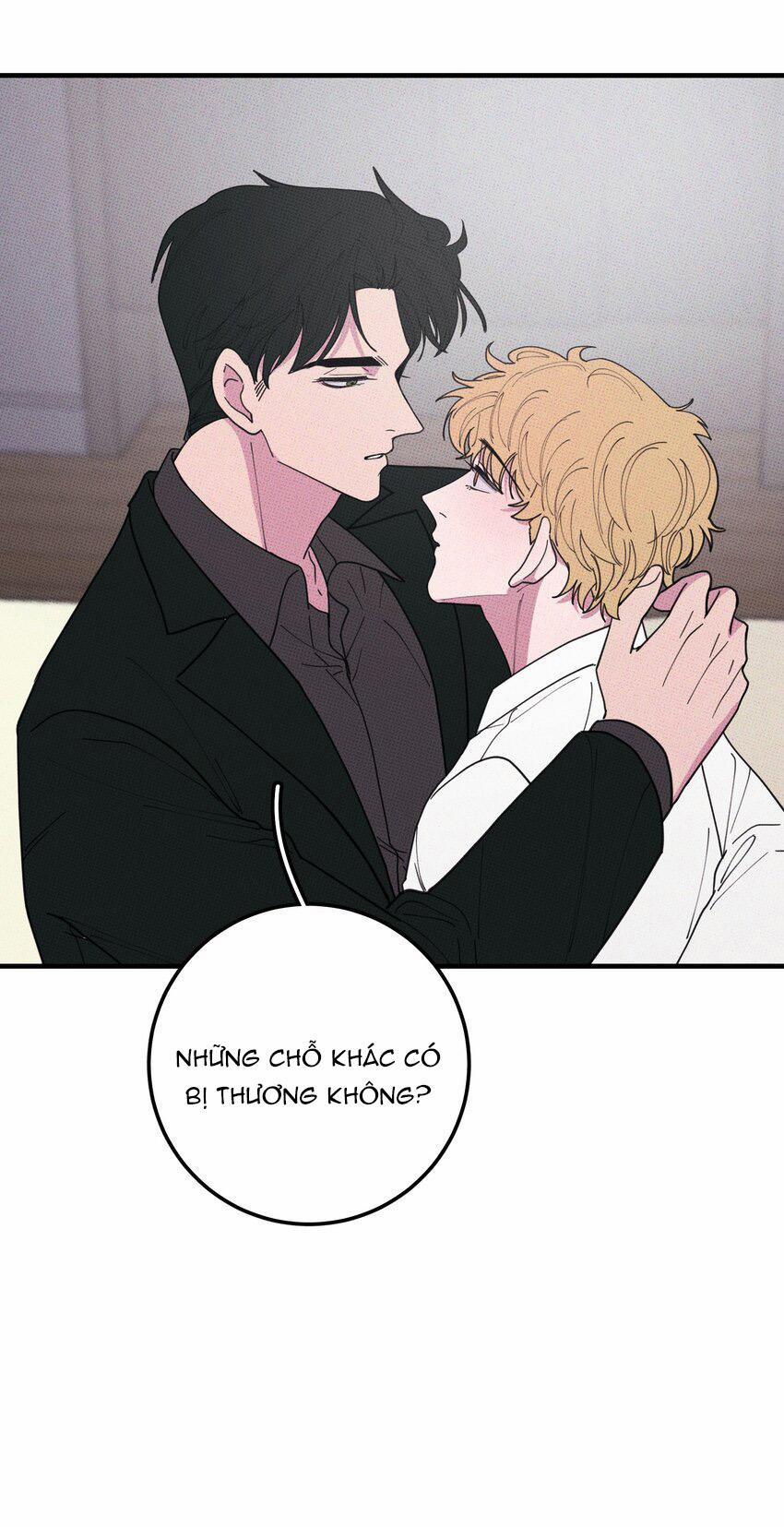 Hộp Bánh Quy Định Mệnh 47 trang 11