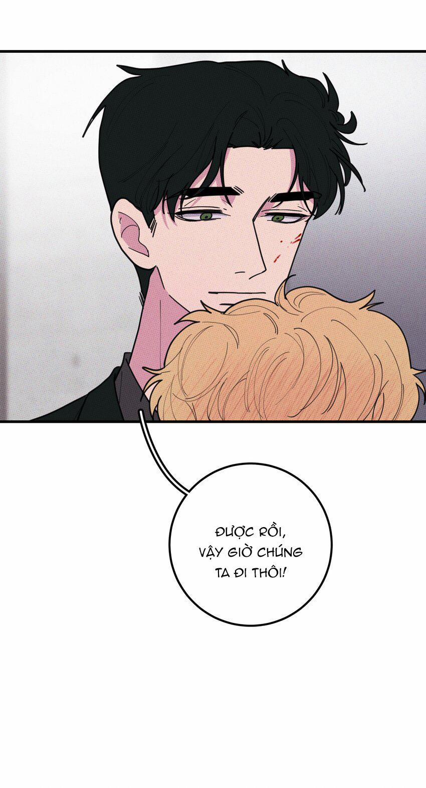 Hộp Bánh Quy Định Mệnh 47 trang 15