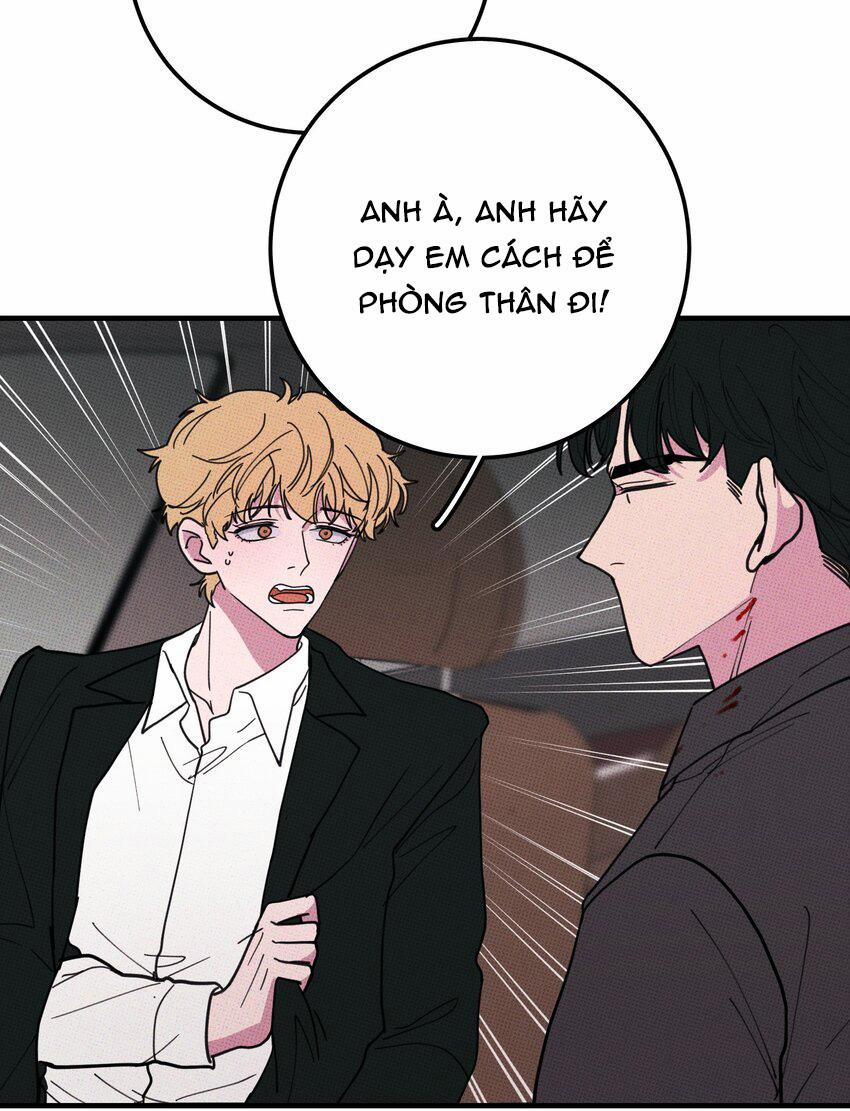 Hộp Bánh Quy Định Mệnh 47 trang 29