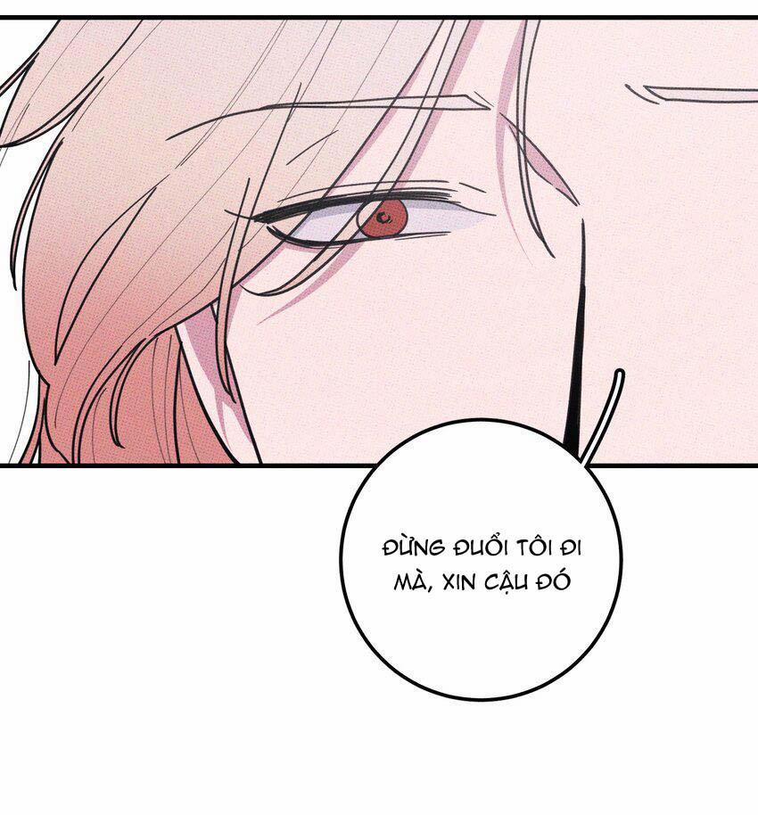 Hộp Bánh Quy Định Mệnh 48 trang 15