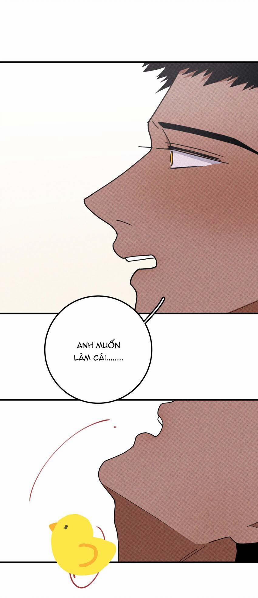 Hộp Bánh Quy Định Mệnh 48 trang 24