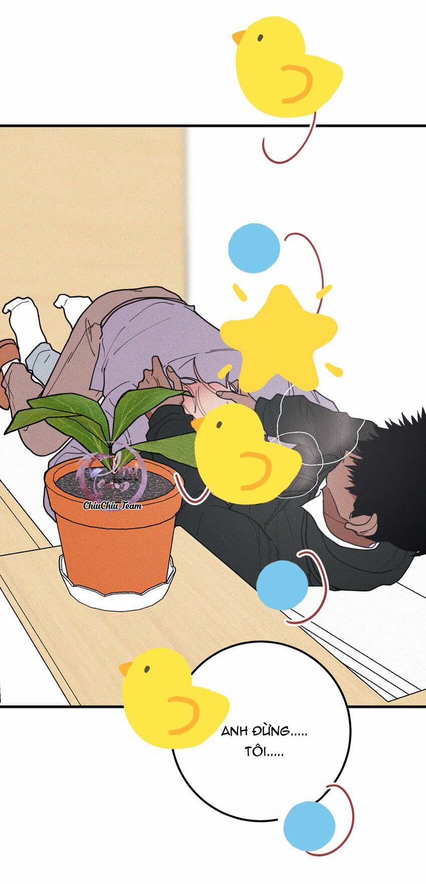 Hộp Bánh Quy Định Mệnh 48 trang 25