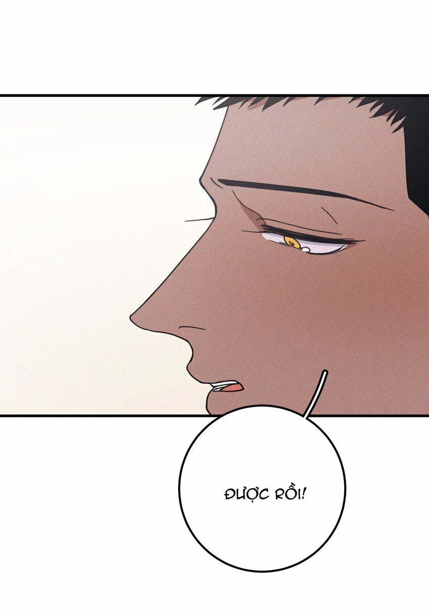 Hộp Bánh Quy Định Mệnh 48 trang 27