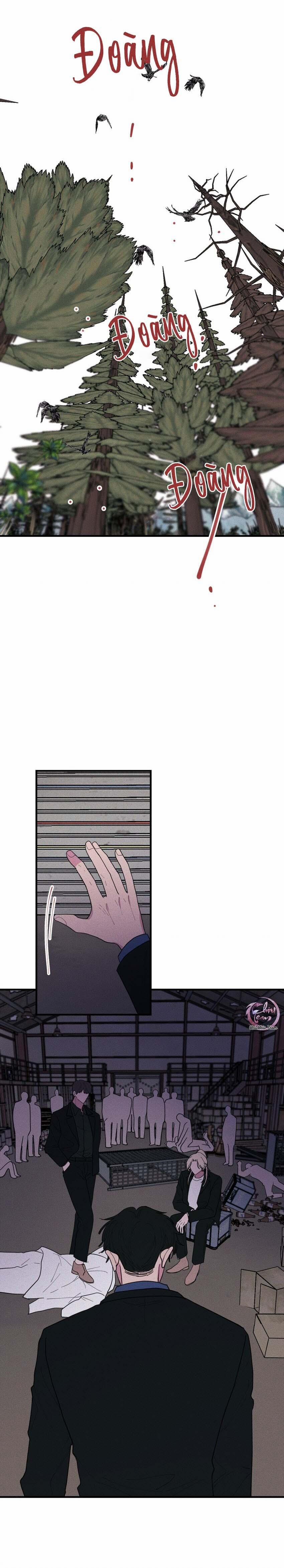 Hộp Bánh Quy Định Mệnh 49 trang 12