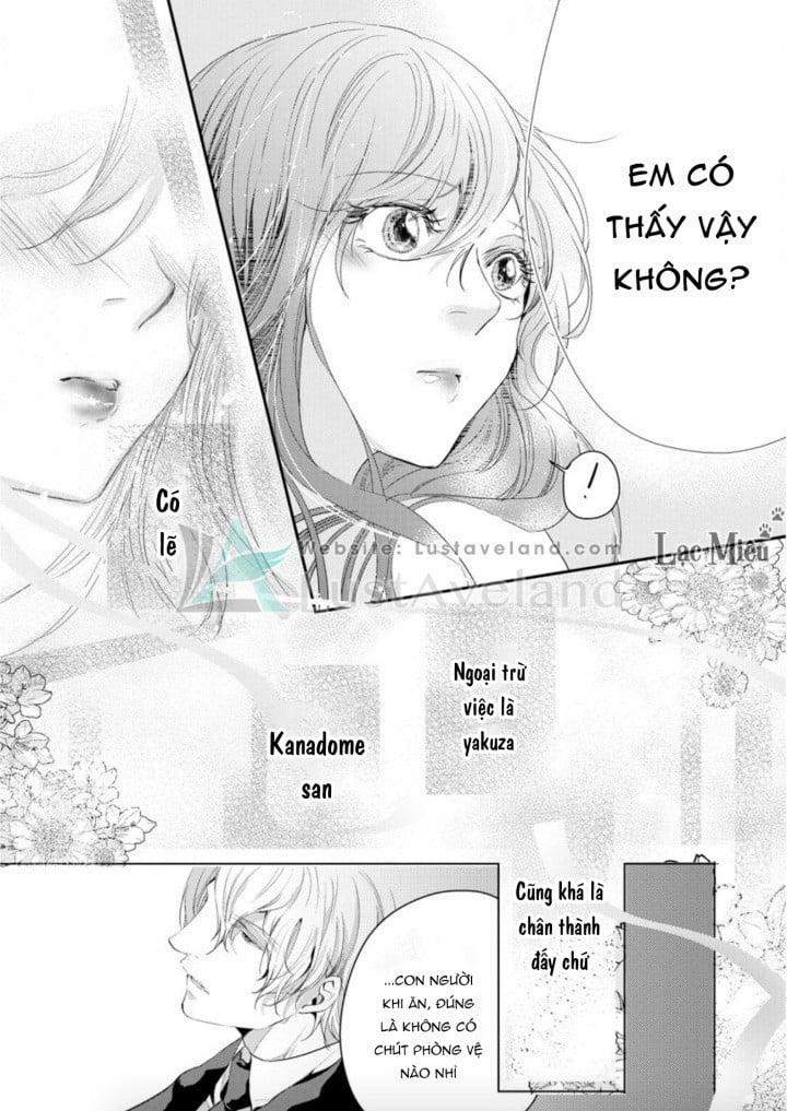 Hợp Đồng Hôn Nhân Với Ông Trùm Yakuza Xấu Xa 4 trang 6