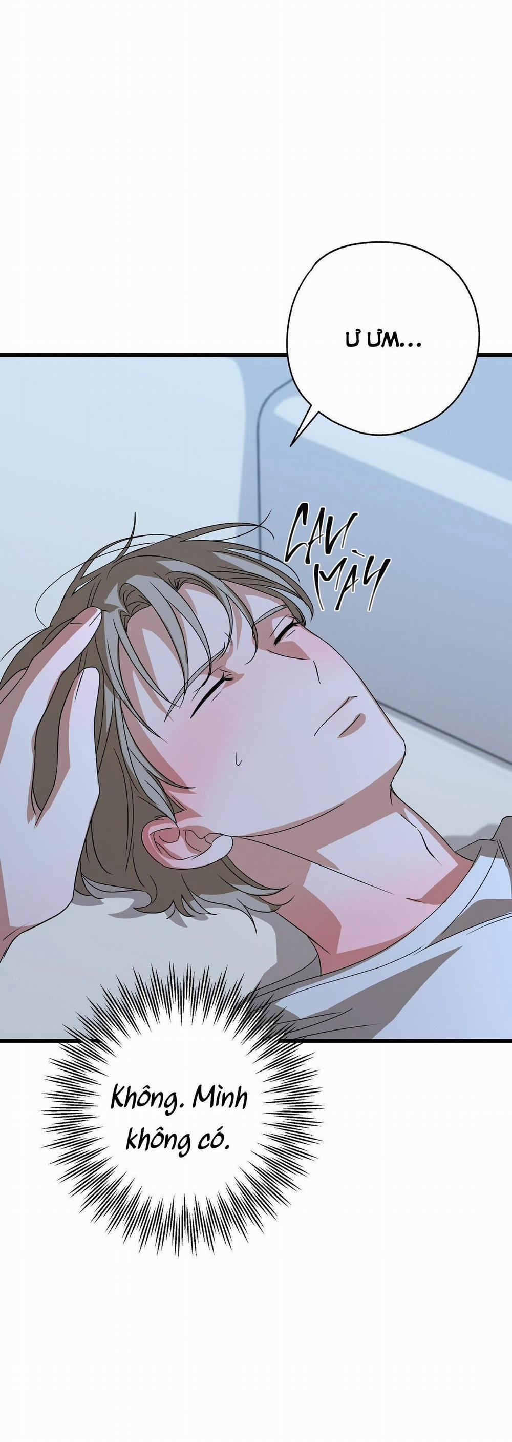 Hợp Đồng Kẹo 13 trang 47