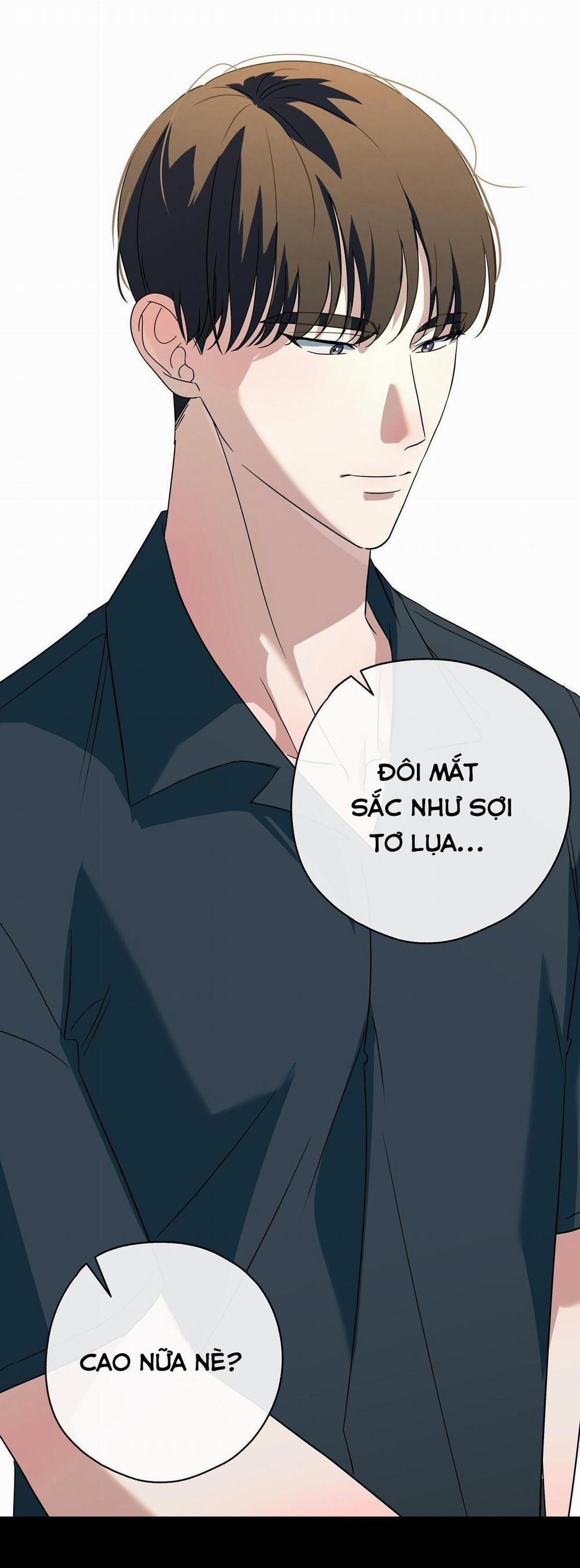 Hợp Đồng Kẹo 13 trang 81