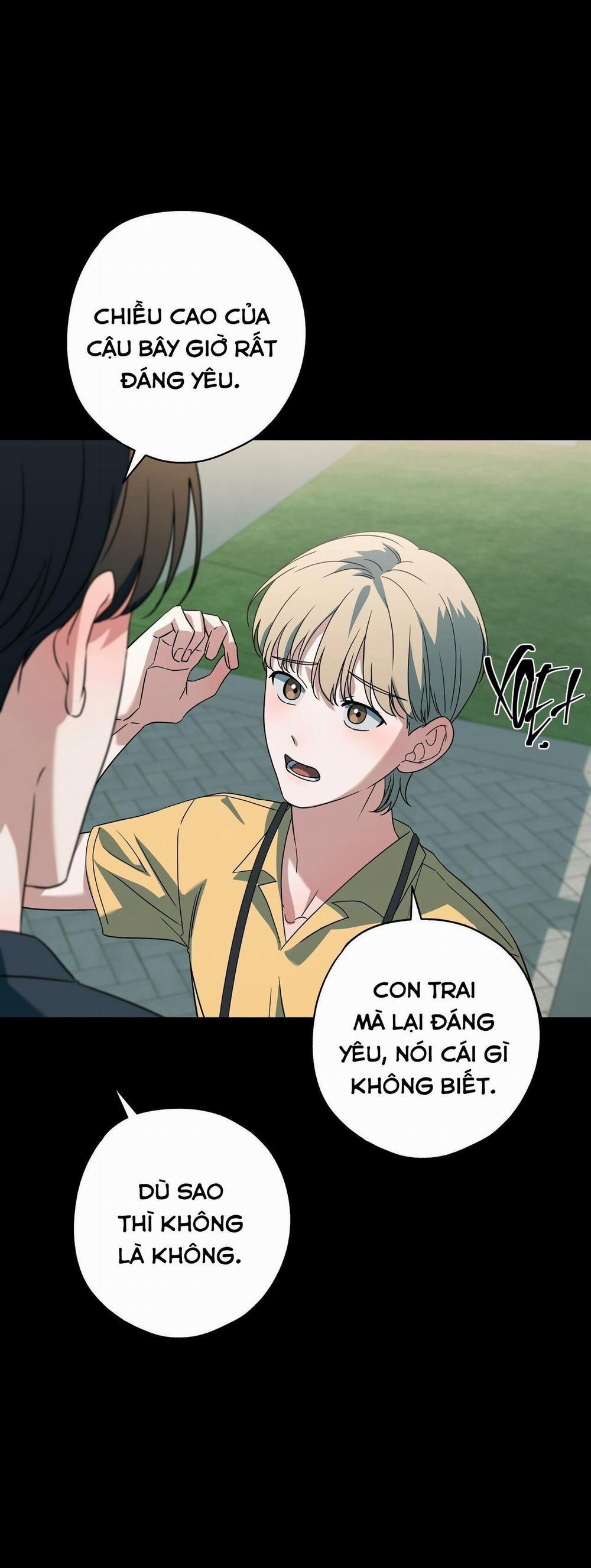 Hợp Đồng Kẹo 13 trang 84