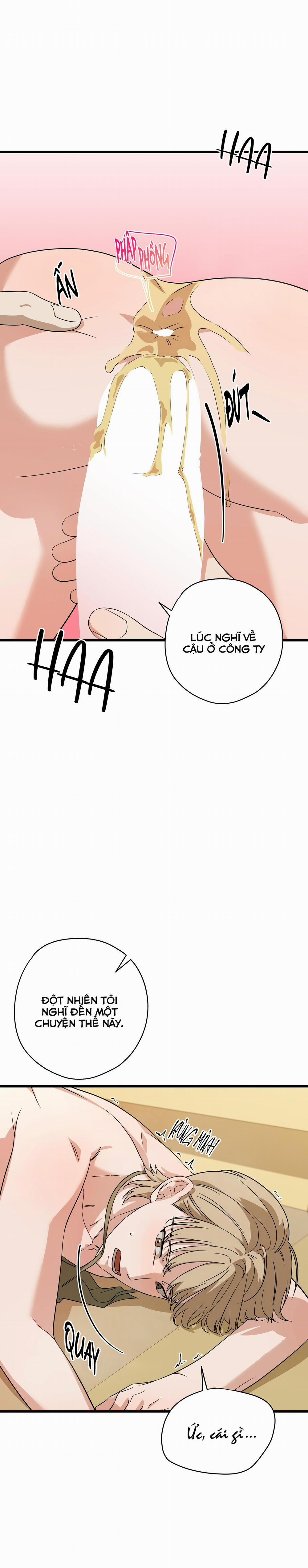 Hợp Đồng Kẹo 15 trang 4