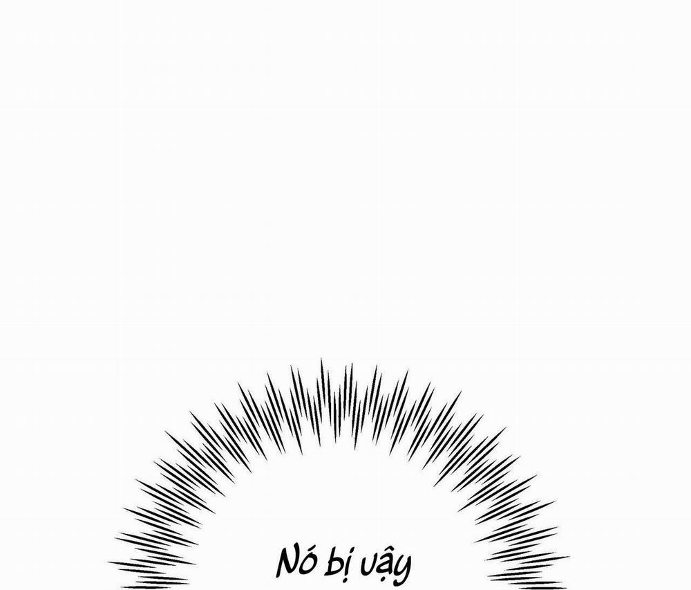 Hợp Đồng Kẹo 17 trang 77