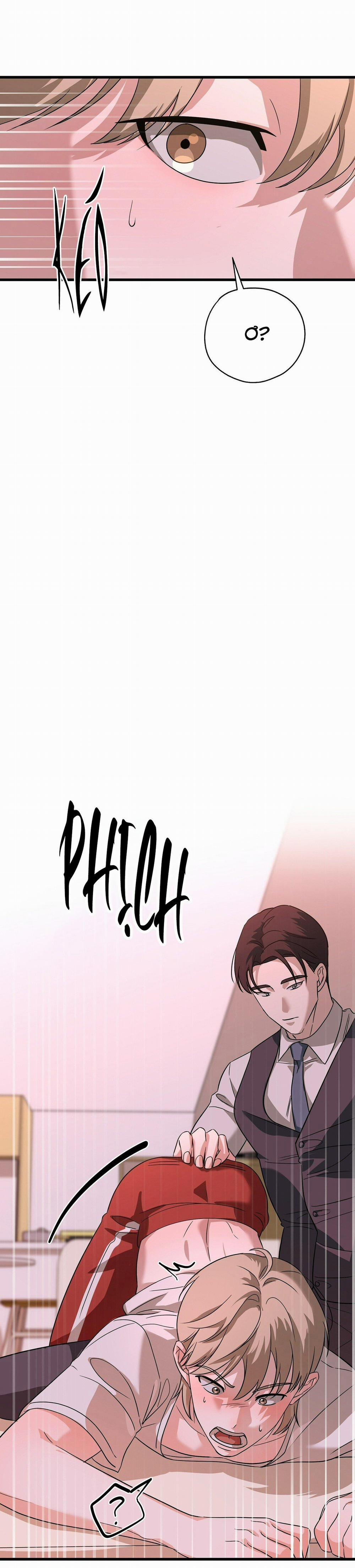 Hợp Đồng Kẹo 8 trang 18