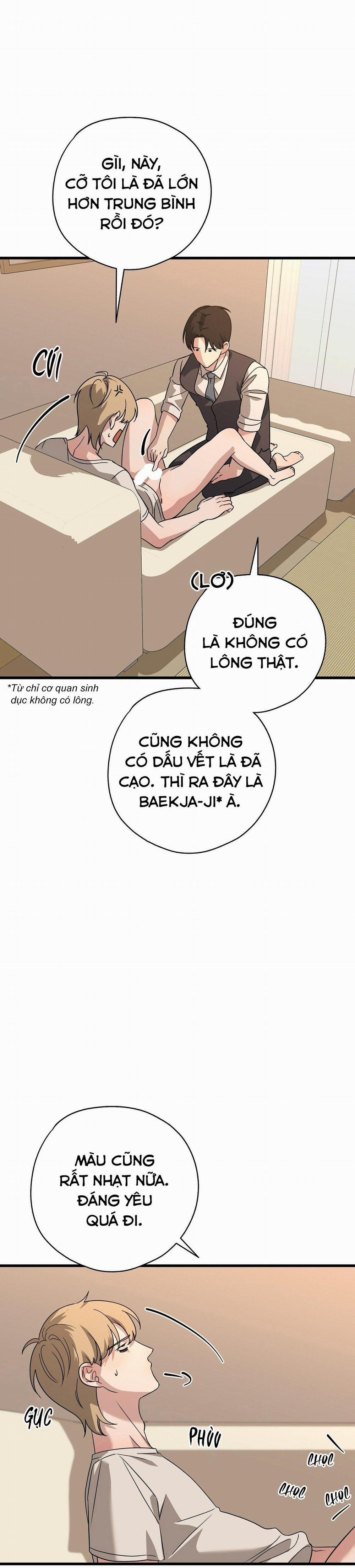 Hợp Đồng Kẹo 8 trang 26