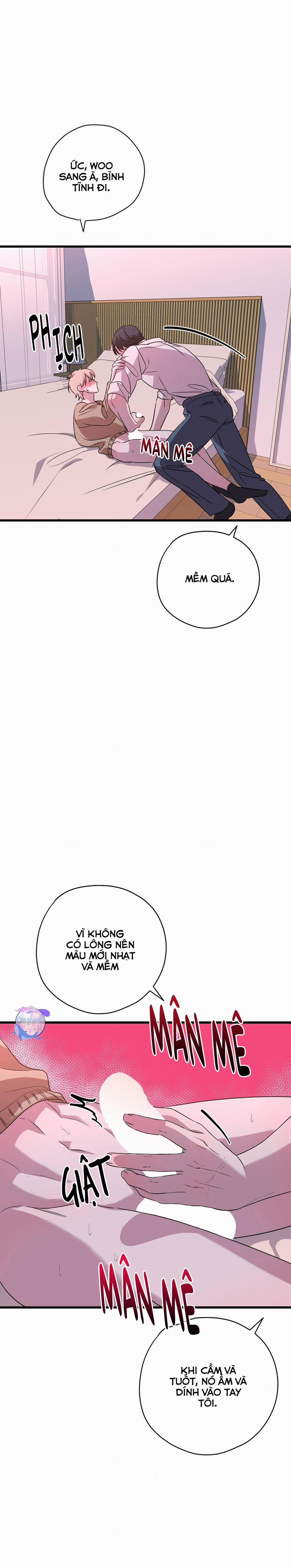 Hợp Đồng Kẹo 9 trang 36