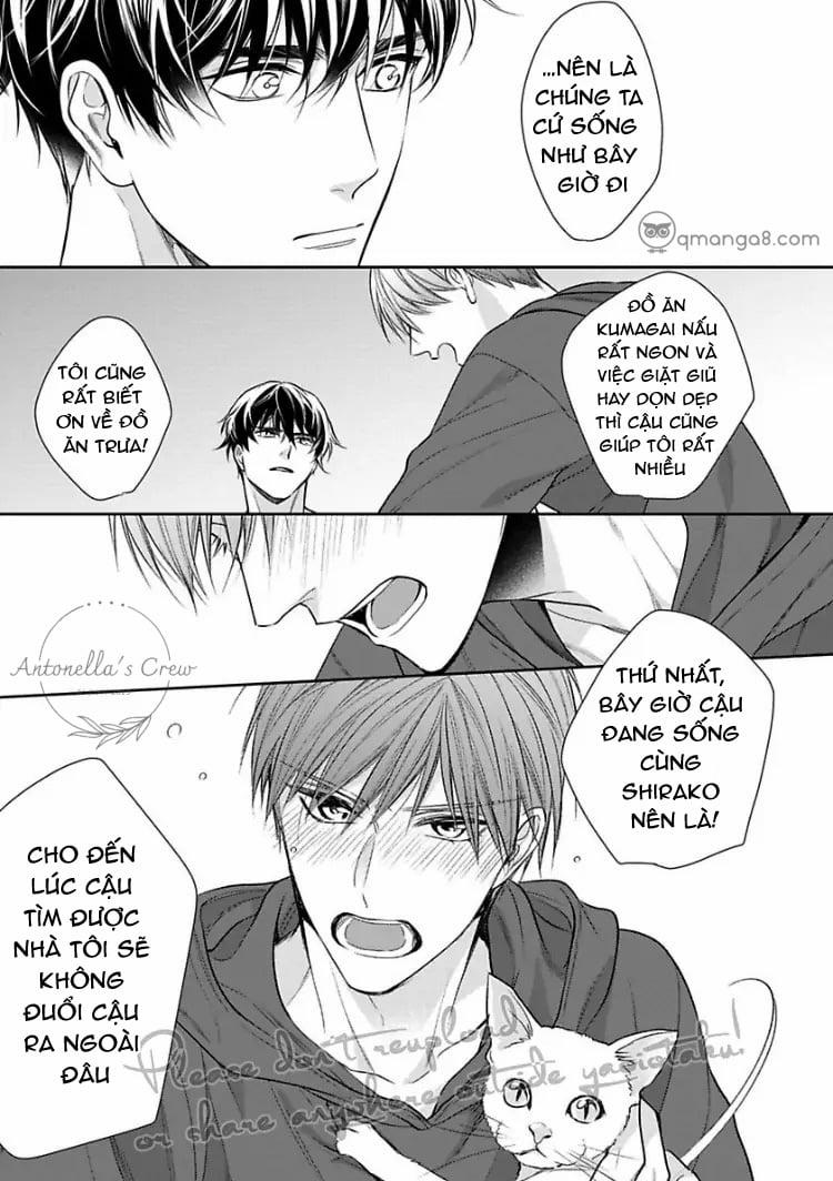 Hợp Đồng Sống Chung 4 trang 10